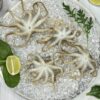 маленькие осьминоги