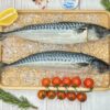 скумбрия атлантическая