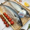 скумбрия морская