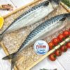 скумбрия морская жирная