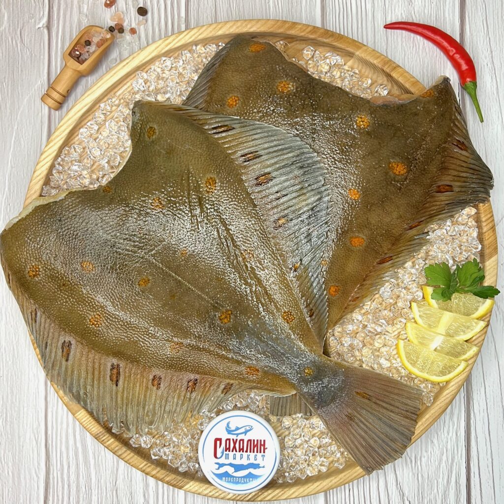 Камбала морская