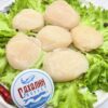 Морской гребешок крупный