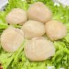 Морской гребешок крупный купить в СПБ