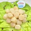 Морской гребешок купить в СПБ