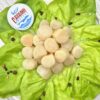 Морской гребешок Курильский
