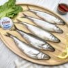 Корюшка отборная купить в СПб