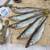 Корюшка Дальневосточная вяленая икряная 20 плюс
