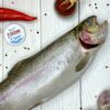 форель непотрошеная купить